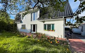 Villa Dada